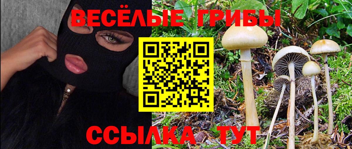Орехово-Зуево  Псилоцибиновые грибы мухоморы  Вход с VPN 
